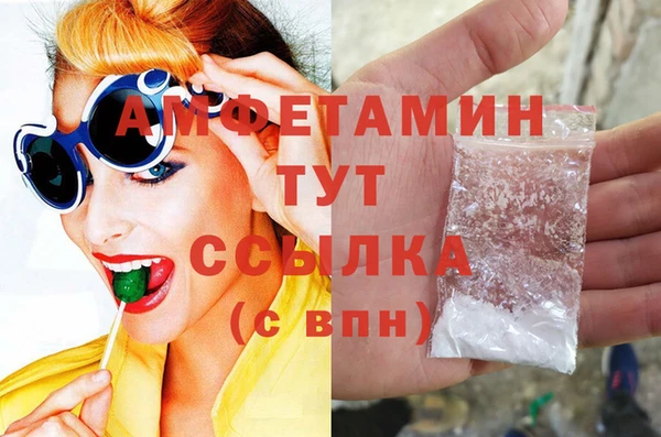 гашик Карпинск
