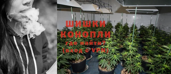 гашик Карпинск