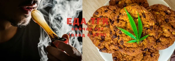 гашик Карпинск