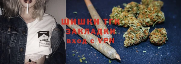 гашик Карпинск