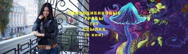 гашик Карпинск