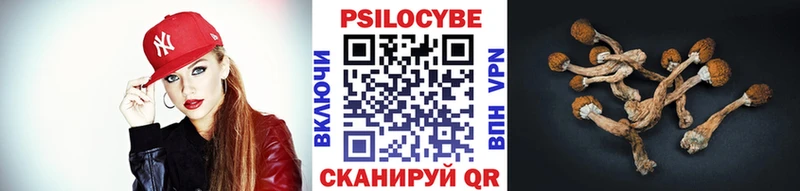 Купить закладки  Бронницы  Псилоцибиновые грибы MAGIC MUSHROOMS 
